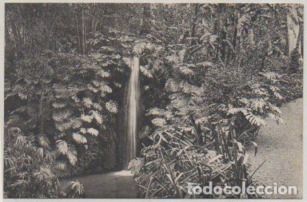 Postales: POSTAL DE MALAGA. JARDINES DE LA CONCEPCION. CASCADA P-ANMA-1149