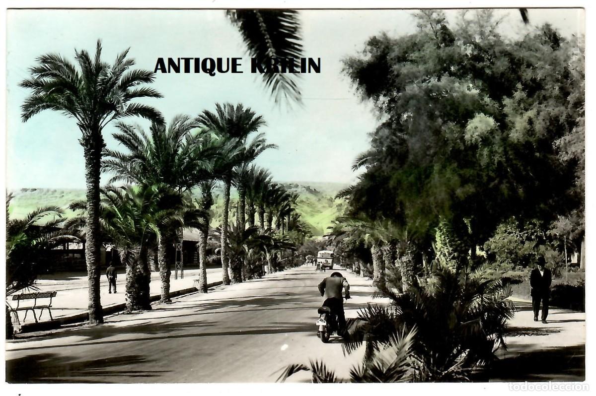 Postales: ALMERIA N&ordm; 225 PASEO DEL PUERTO / EDICIONES AISA