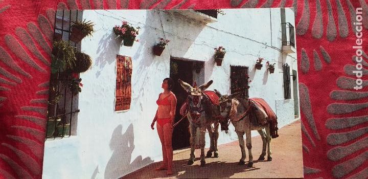 Postales: MALAGA-RV-COSTA DEL SOL-150X105MM-MIJAS