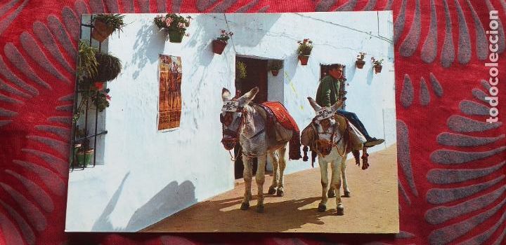 Postales: MALAGA-RV-COSTA DEL SOL-150X105MM-MIJAS