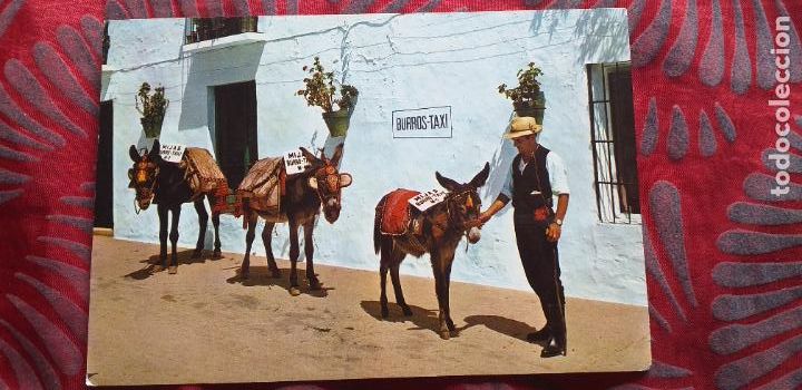 Postales: MALAGA-RV-COSTA DEL SOL-150X105MM-MIJAS-PARADA DE BURROS TAXI