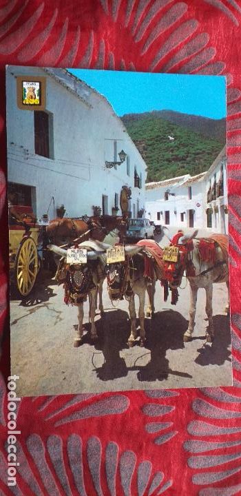 Postales: MALAGA-RV-COSTA DEL SOL-150X105MM-MIJAS- BURROS TAXI