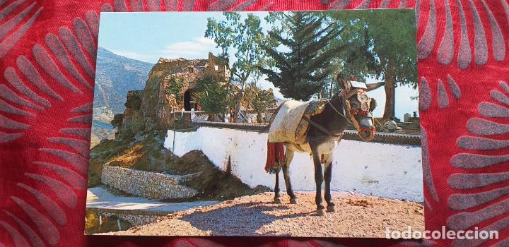 Postales: MALAGA-RV-COSTA DEL SOL-150X105MM-MIJAS-VISTA PARCIAL