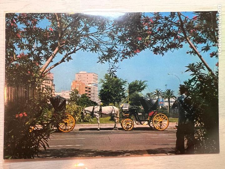 Postales: FOTOGRAFIA POSTAL. CADIZ N&ordm; 191. AVDA RAMON DE CARRANZA. PAPELERIA ALFA.