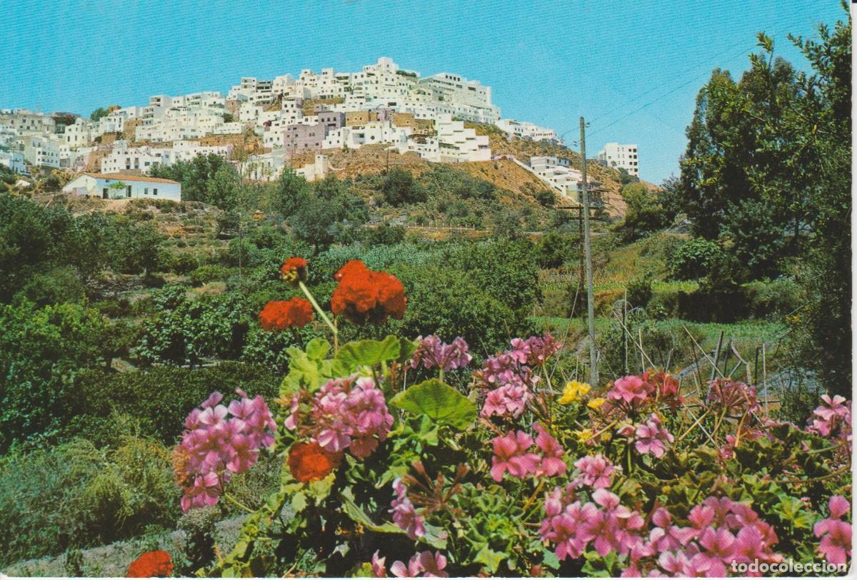Postales: (79) MOJACAR . ALMERIA. VISTA PANORAMICA