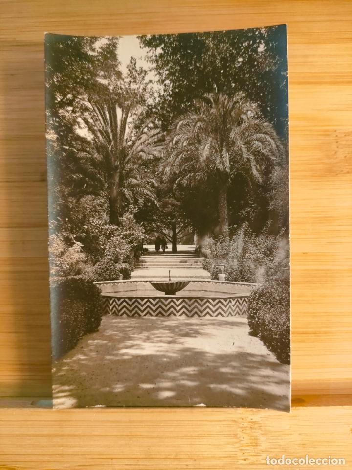 Postales: SEVILLA-FOTOGRAFICA-POSTAL ANTIGUA-(104.011)