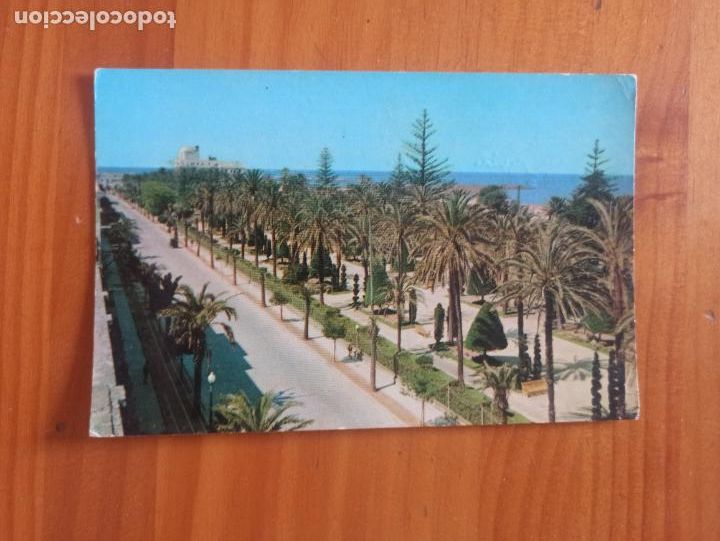 Postales: TARJETA POSTAL CADIZ - PARQUE GENOVES - N&ordm; 2012 (DG)