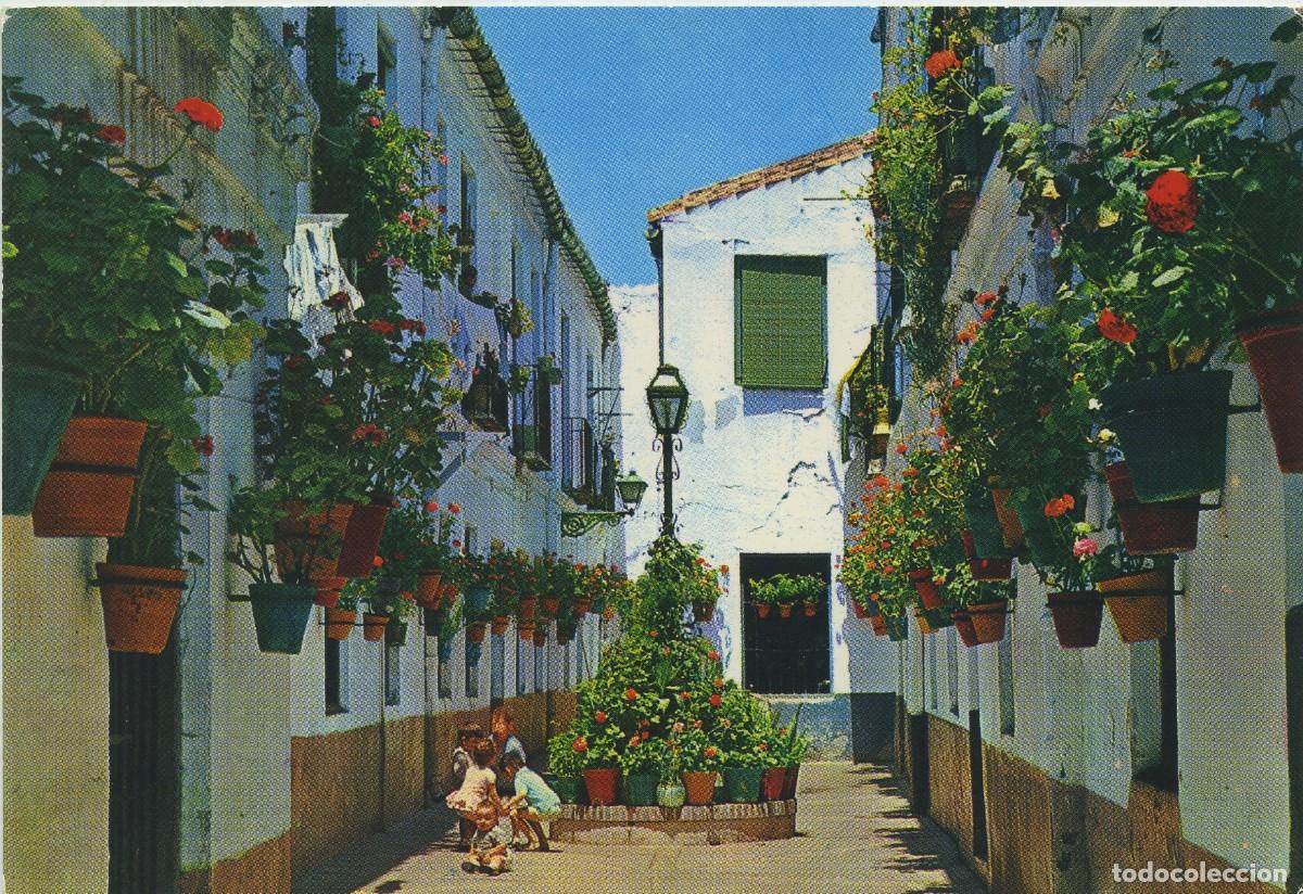 Postales: N&ordm; 1.293-COSTA DEL SOL. Calle t&iacute;pica. Sin circular. ED. BEASCOA