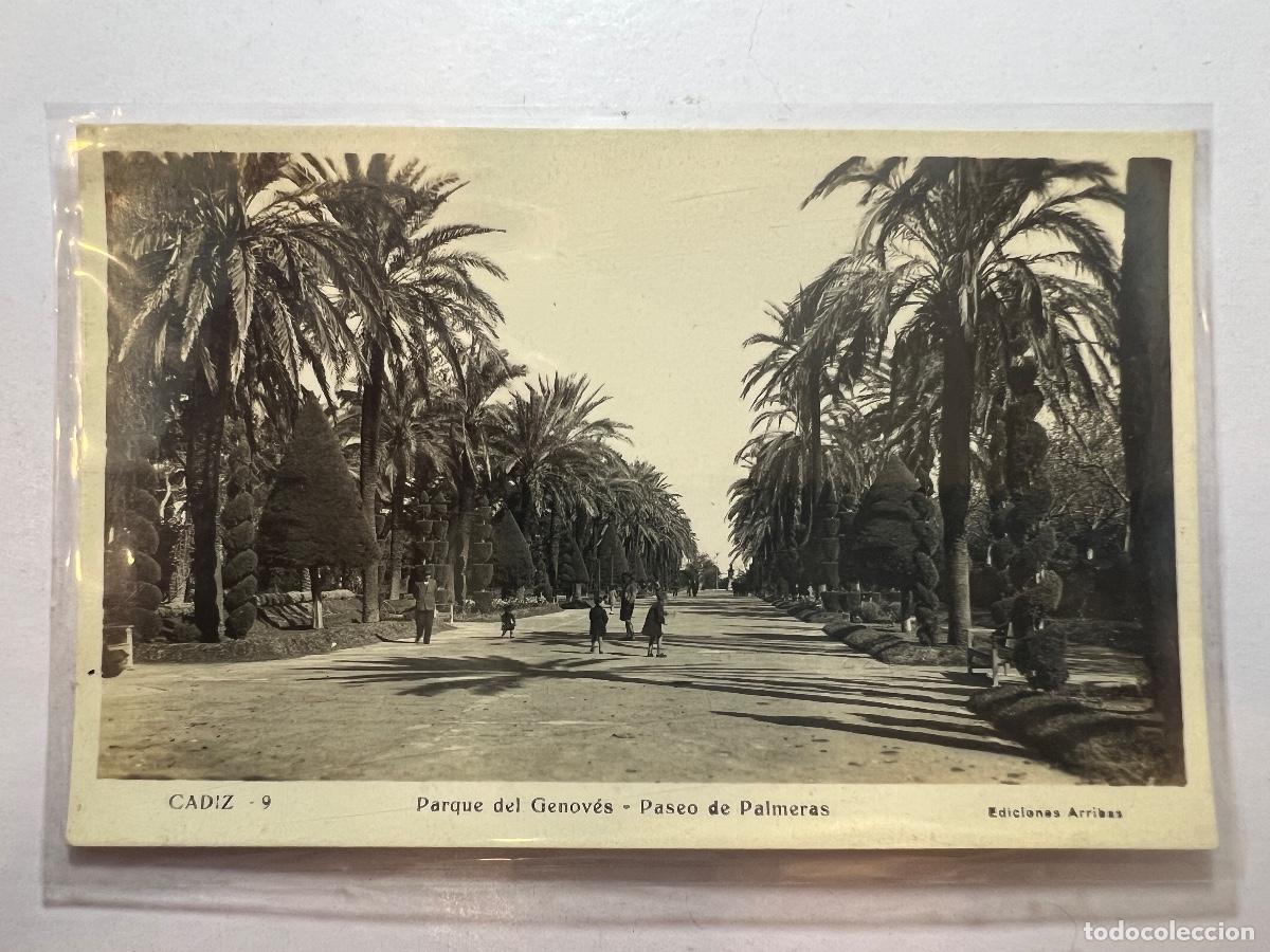 Postales: POSTAL. CADIZ. PARQUE DEL GENOVES - PASEO DE PALMERAS. EDICIONES ARRIBAS