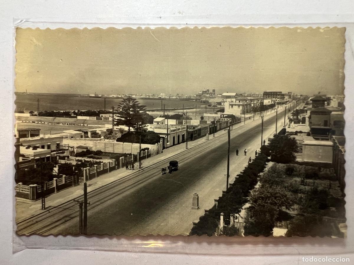 Postales: POSTAL. CADIZ. AVENIDA DE LOPEZ PINTO
