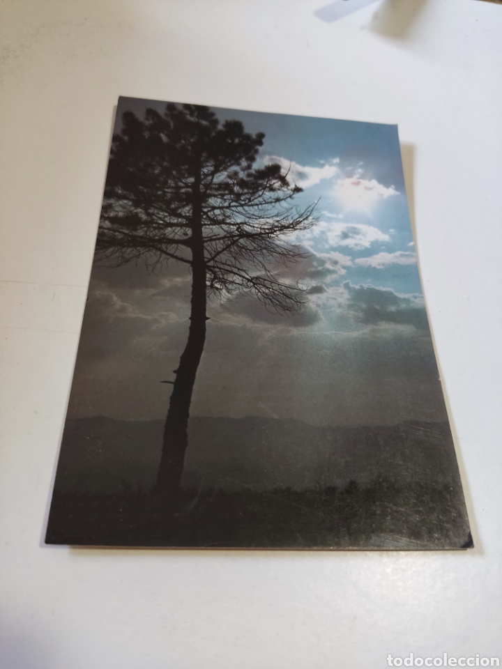 Postales: Postal atardecer en parque natural de Cazorla