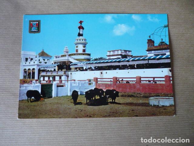 Postales: SEVILLA - Foto 1