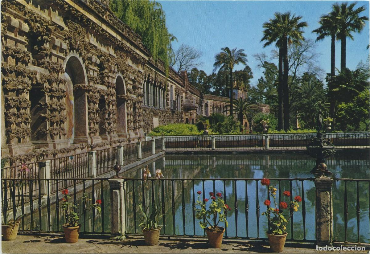 Postales: N&ordm; 13-SEVILLA. Reales Alc&aacute;zares. Jardines. Estanque del Rey D. Pedro I. Sin circular. ED. PAT. NACIO
