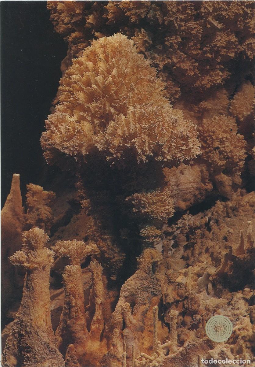 Postales: N&ordm; 3-NERJA. M&aacute;laga. Cueva. Detalle de la sala de los Niveles. Sin circular. ED. PATRONATO CUEVAS DE