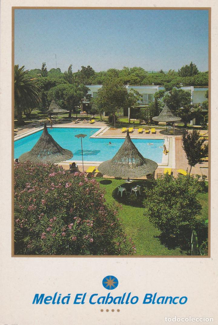 Postales: CADIZ, MELIA, EL CABALLO BLANCO &ndash; ED.GRAFINSA &ndash; S/C