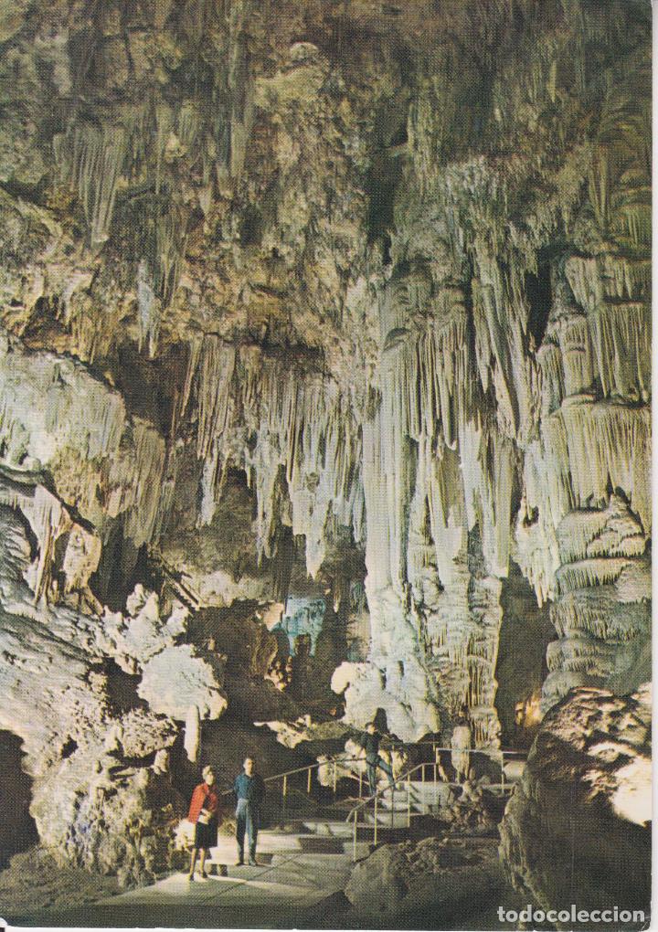 Postales: CUEVAS DE NERJA (MALAGA) ENTRADA A LA SALA DE LOS FANTASMAS &ndash; EDITA PATRONATO CUEVA N&ordm;3 &ndash; S/C