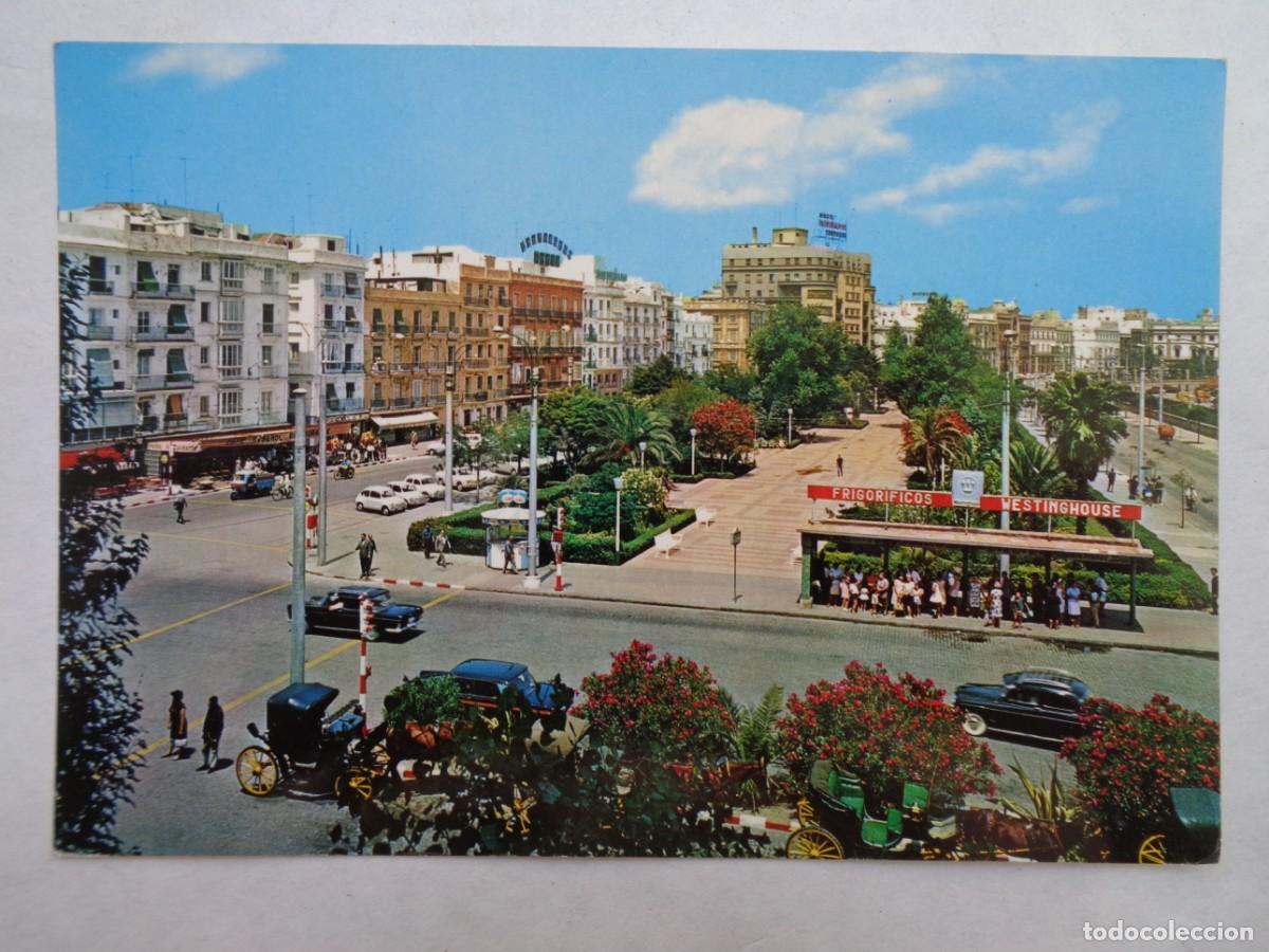 Postales: POSTAL DE CADIZ : AVENIDA DE CARRANZA. A&Ntilde;OS 60