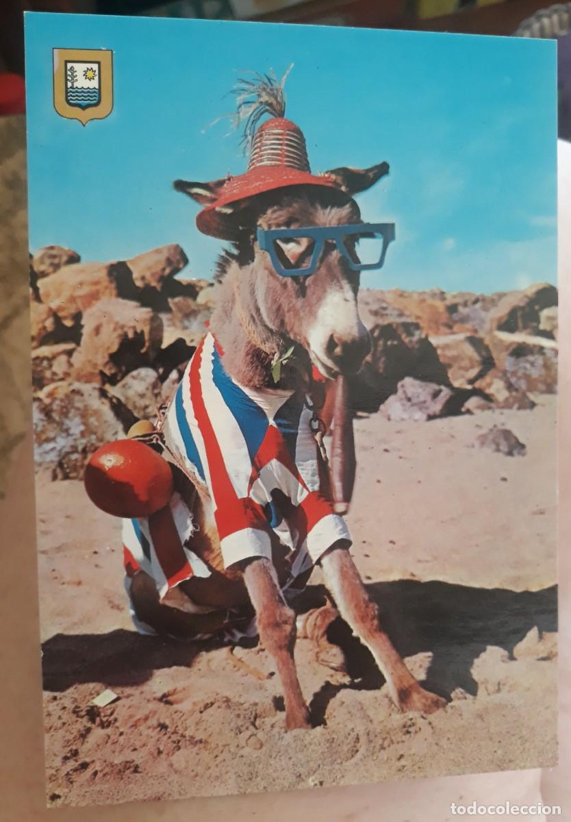 Postales: -84972 POSTAL BURRO COSTA DEL SOL, AQU&Iacute; TE ESPERO, ESCUDO DE ORO