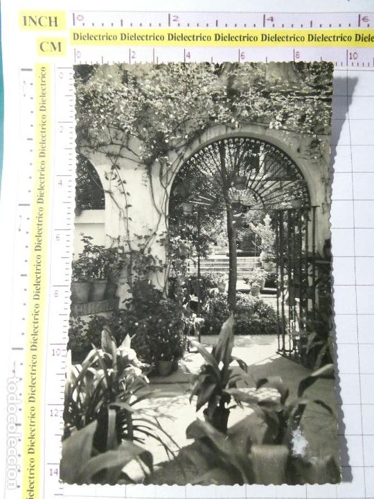 Postcards: POSTAL DE M&Aacute;LAGA. A&Ntilde;OS 30 50. JARDINES DEL PALACIO EPISCOPAL 286 ALAMOS. 591
