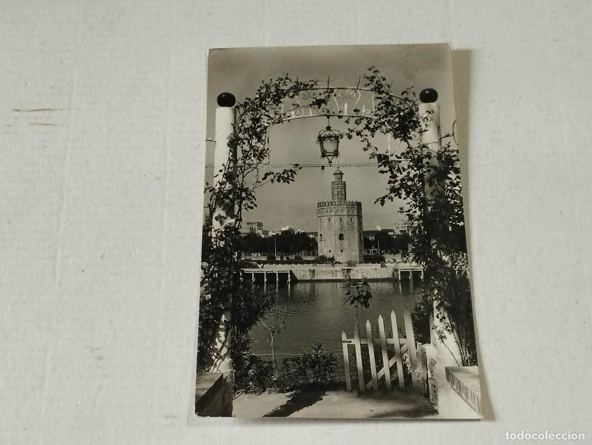 Postales: SEVILLA - POSTAL SEVILLA - TORRE DEL ORO - Foto 1