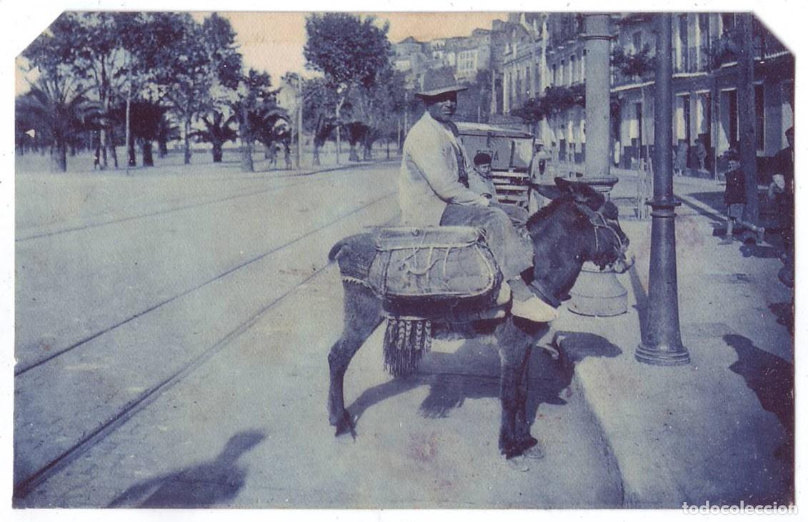 Postales: M&aacute;laga: Vendedor de huevos. L. Roisin. No circulada (A&ntilde;os 20)