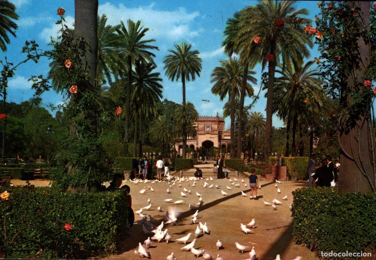 Postales: Sevilla parque de maria luisa sin circular - Foto 1