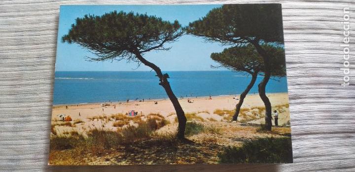 Cartes Postales: HUELVA-RV-150X105mm-N&ordm;49-PLAYA DE PUNTA UMBRIA