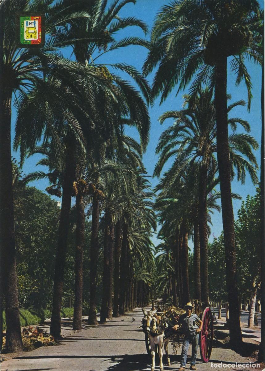 Postales: N&ordm; 43-M&Aacute;LAGA. Costa del Sol. Parque. Paseo de Palmeras. Circulada en 1971. ED. DOM&Iacute;NGUEZ