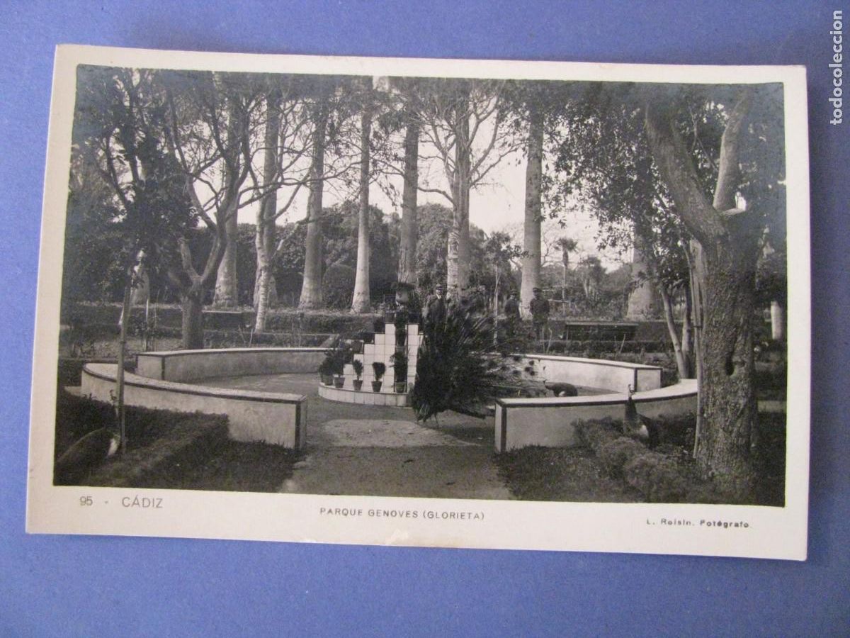 Postales: POSTAL FOTOGRAFICA DE CADIZ. PARQUE GENOVES (GLORIETA). L. ROISIN. 95.