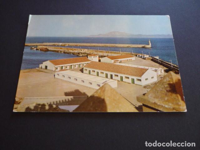Postales: TARIFA CADIZ - Foto 1