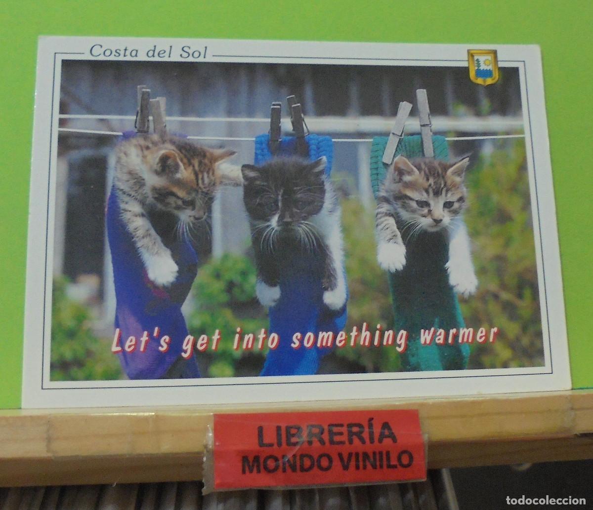Postales: Costa del Sol, 10x15 cm