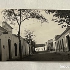 Postales: LOS GALLARDOS (ALMERÍA) POSTAL FOTOGRAFÍCA CALLE MAYOR (H.1950?) S/C