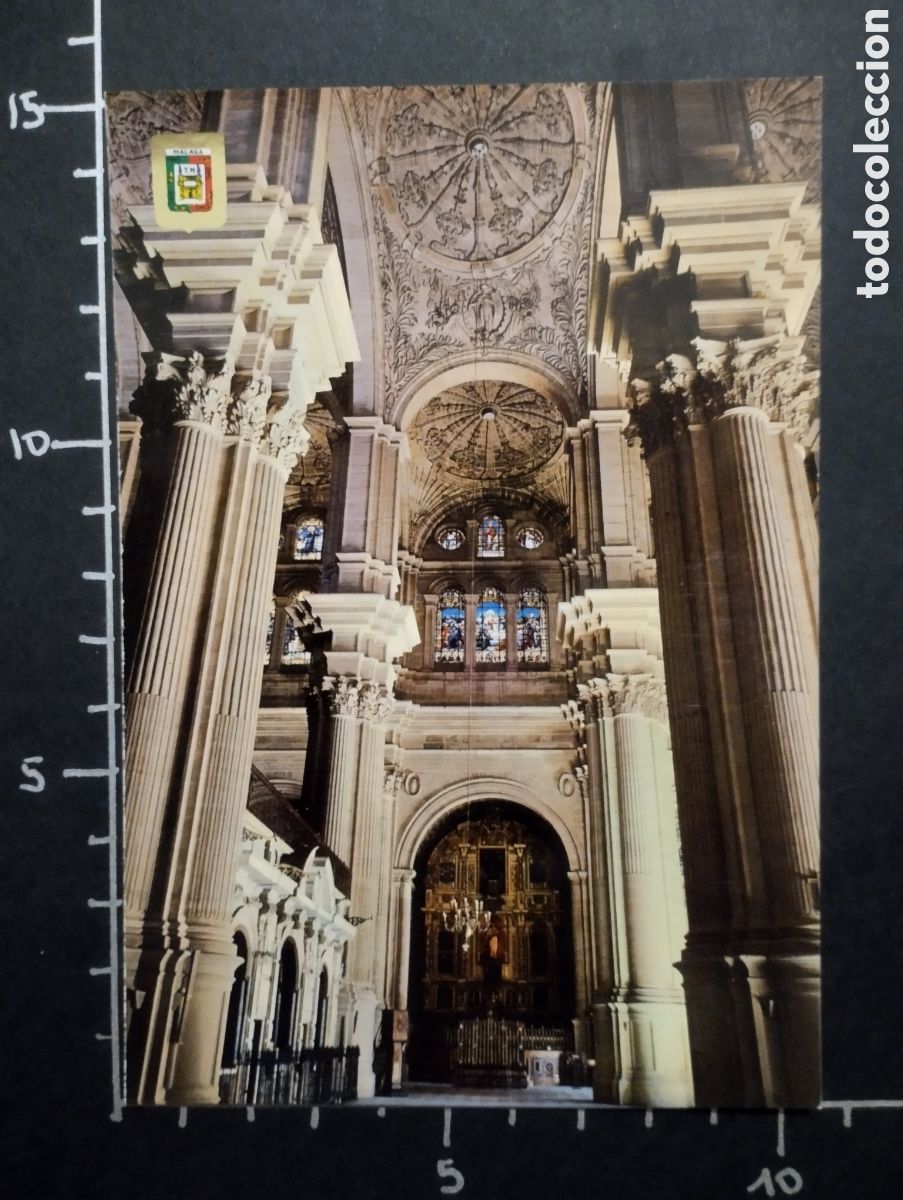 Postales: POSTAL. M&Aacute;LAGA (COSTA DEL SOL) - CATEDRAL. INTERIOR - Foto 1