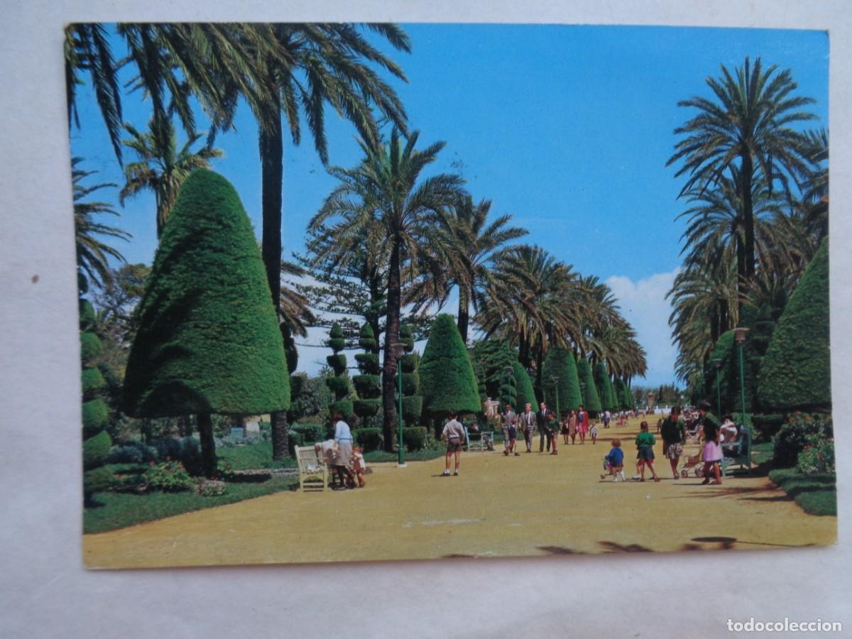 Postales: POSTAL DE CADIZ : PARQUE GENOVES, PASEO CENTRAL . A&Ntilde;OS 60