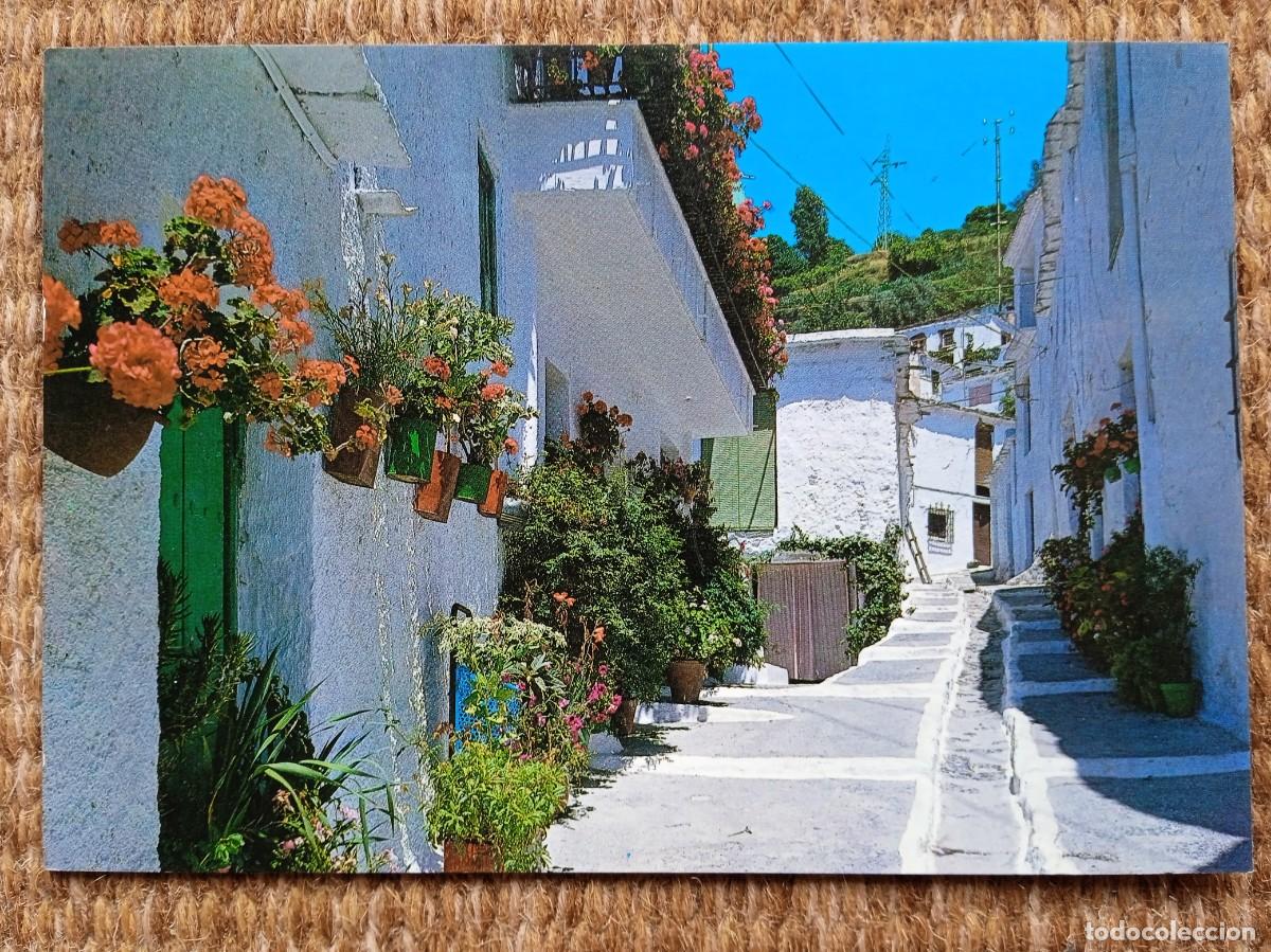 Postales: PAMPANEIRA - GRANADA - ED. ZERKOWITZ - Foto 1