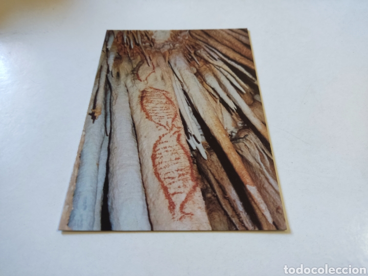 Postales: Postal Cueva de Nerja, pintura rupestre