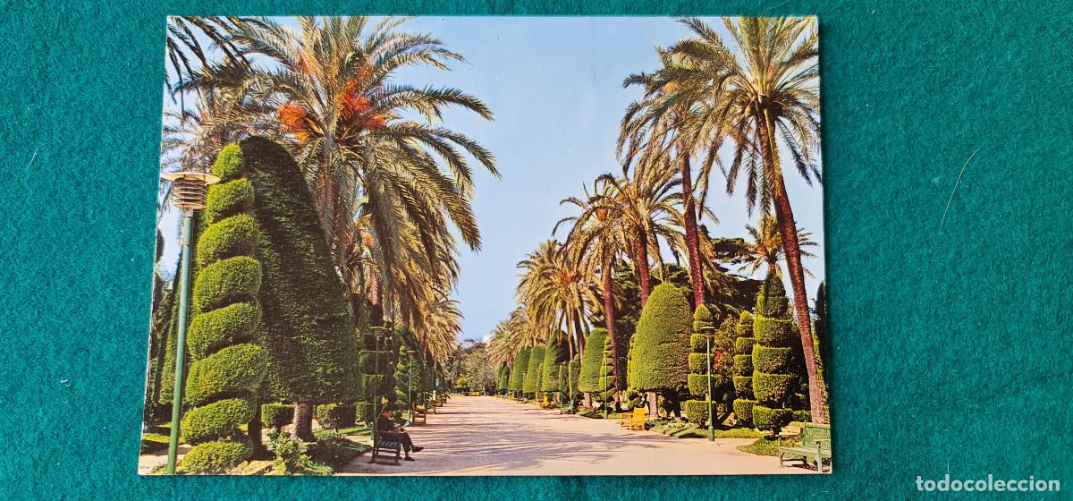 Postales: POSTAL CADIZ - PARQUE DE GENOVES