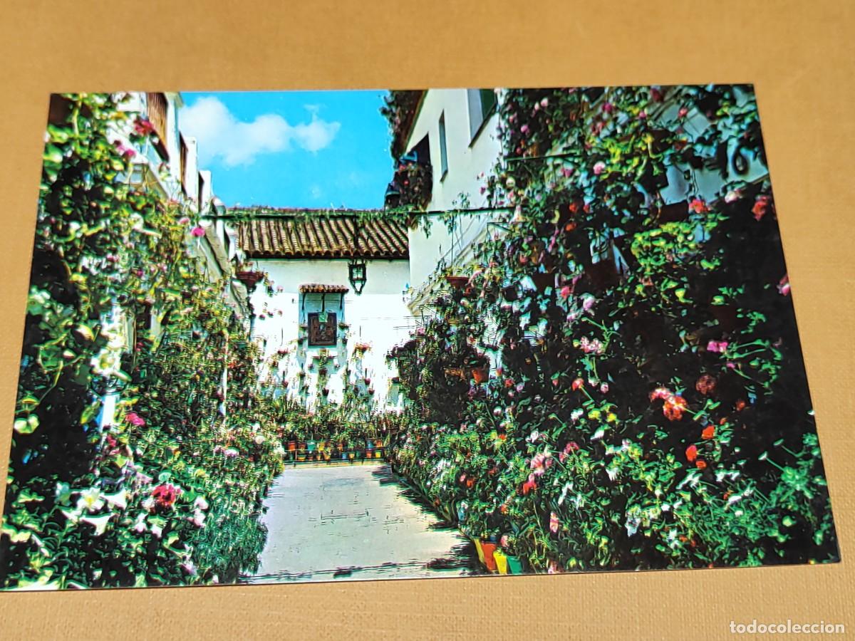 Postales: SEVILLA.-N⁰ 118 Rinc&oacute;n florido. Tarjeta sin circular, antigua. Ed. ARRIBAS