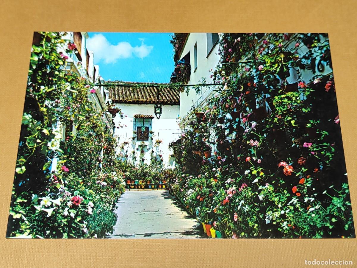 Postales: SEVILLA.-N⁰ 118 Rinc&oacute;n florido. Tarjeta sin circular, antigua. Ed. ARRIBAS