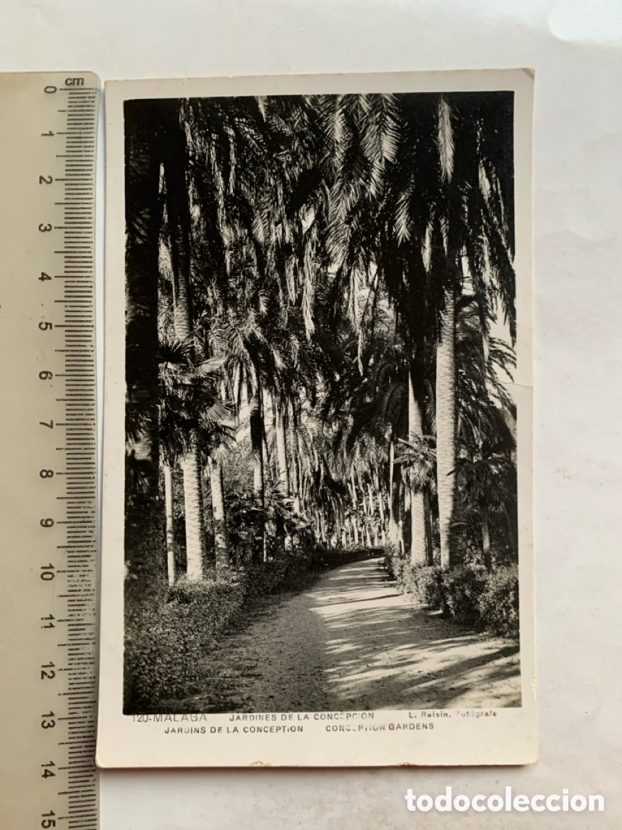 Postales: POSTAL. MALAGA. JARDINES DE LA CONCEPCION. L. ROISIN, FOT&Oacute;GRAFO. FECHADA, 5 AGOSTO 1944.