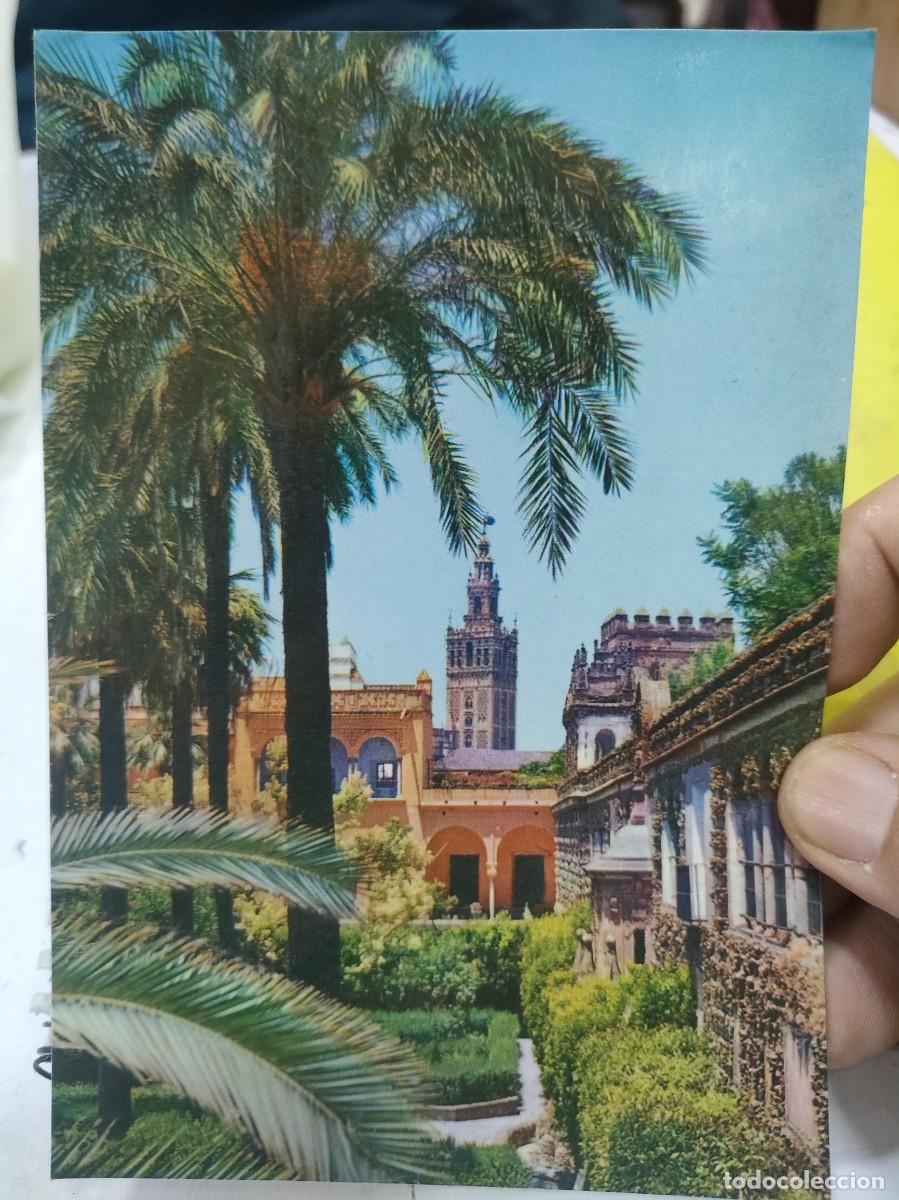 Postales: Postal SEVILLA Jardines del Alc&aacute;zar N 2009 ARRIBAS SC