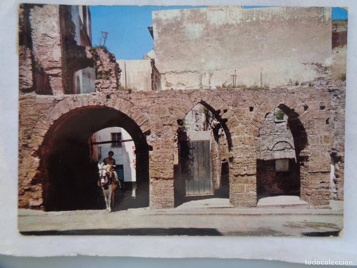 Postales: POSTAL DE CADIZ : ARCOS DE LOS BLANCOS . A&Ntilde;OS 60 , JOVEN BURRO