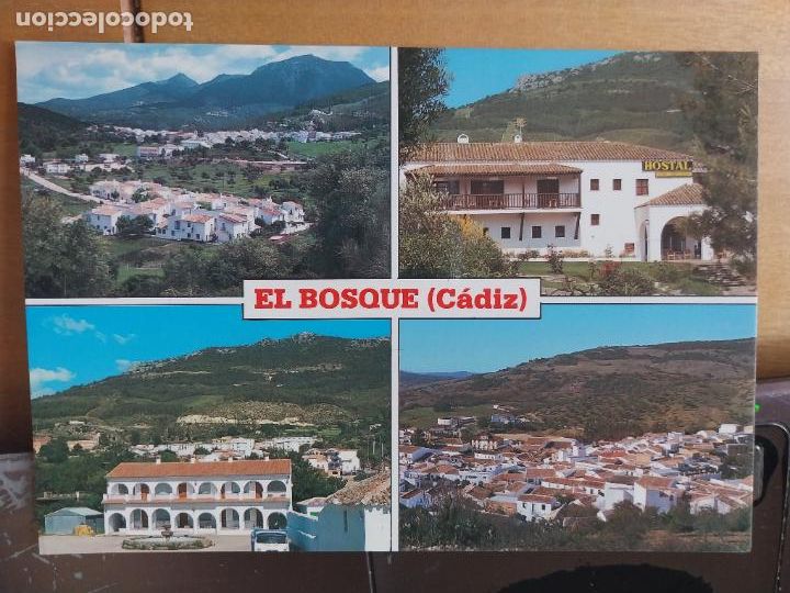 Postales: EL BOSQUE CADIZ RESTAURANTE APARTAMENTOS CALVILLO HOSTAL TRUCHAS ED FOT ULISES 1 SC