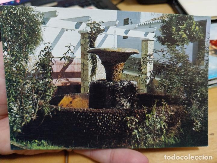Postales: BOSQUE CADIZ XXV A&Ntilde;OS PAZ SC ED ADOLFO PAJARES 1