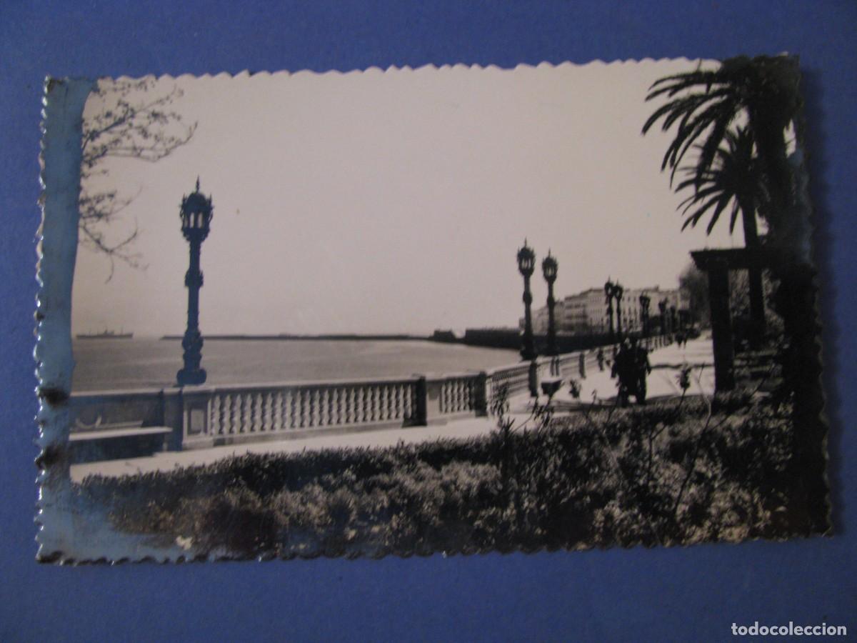 Postales: POSTAL FOTOGR&Aacute;FICA DE CADIZ. AVENIDA MARQUES DE COMILLAS. ED. SICILIA.