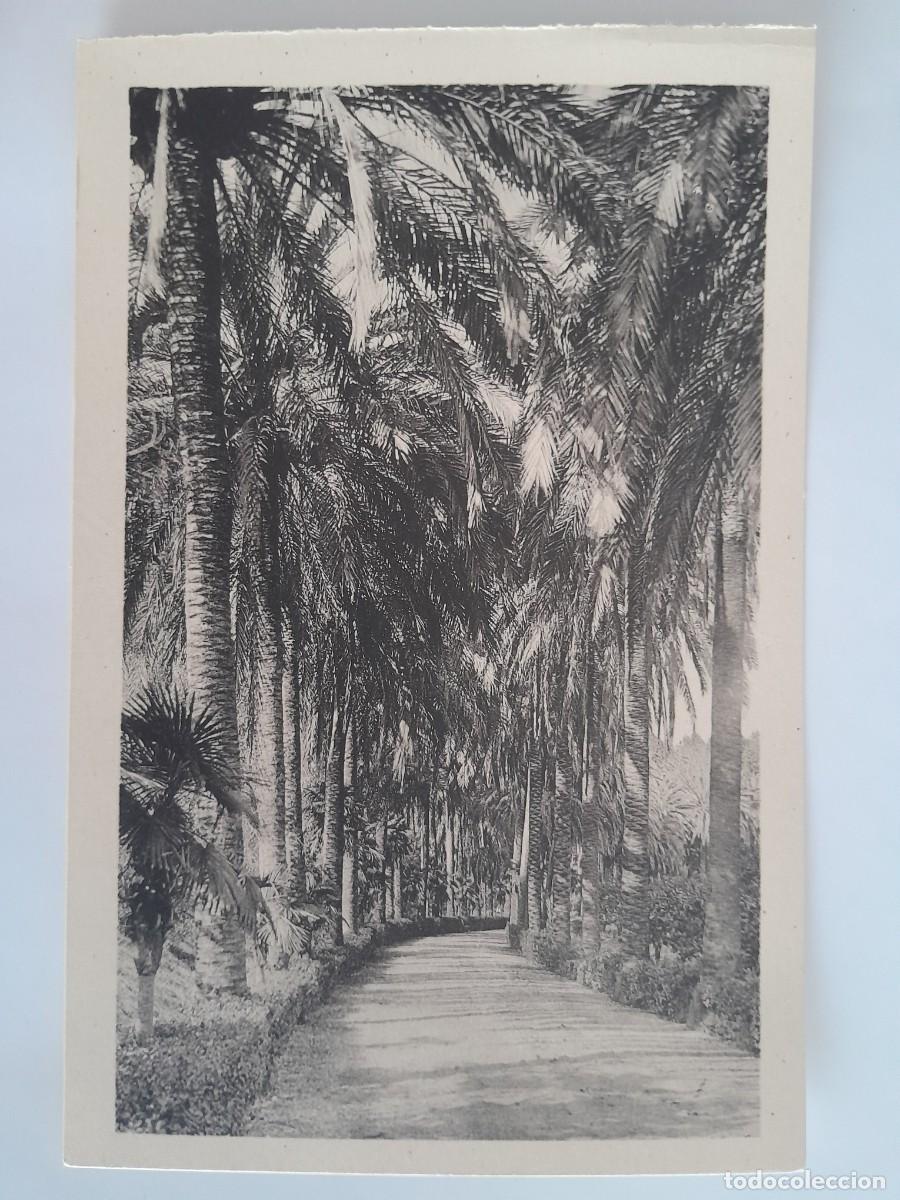 Postales: ANTIGUA POSTAL MALAGA JARDINES DE LA CONCEPCION PASEO FOTO ROISIN RV 1621