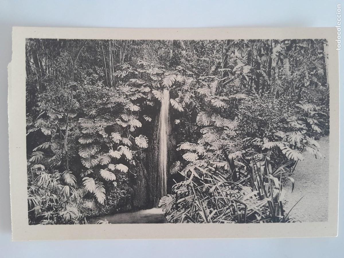 Postales: ANTIGUA POSTAL MALAGA JARDINES CONCEPCION CASCADA FOTO ROISIN RV 1624