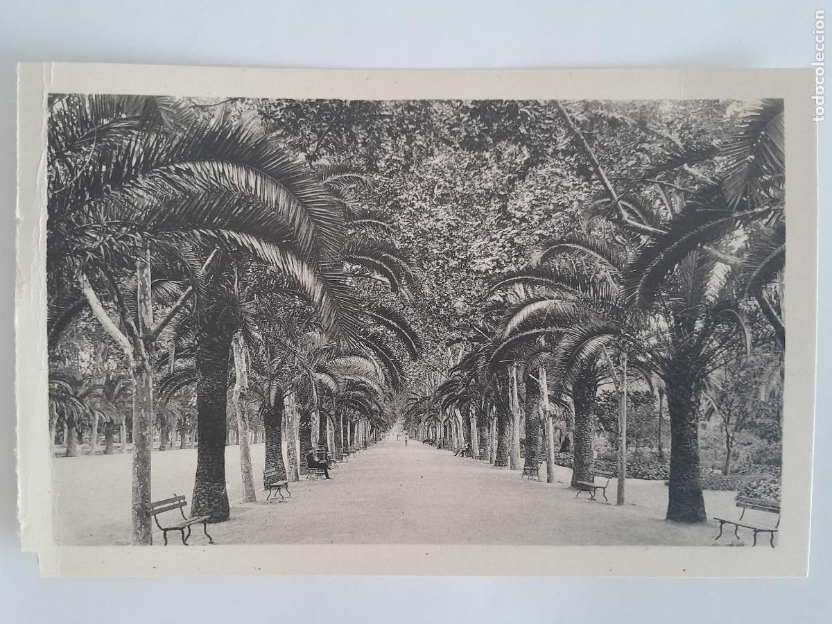 Postales: ANTIGUA POSTAL MALAGA PASEO DEL PARQUE FOTO ROISIN RV 1628