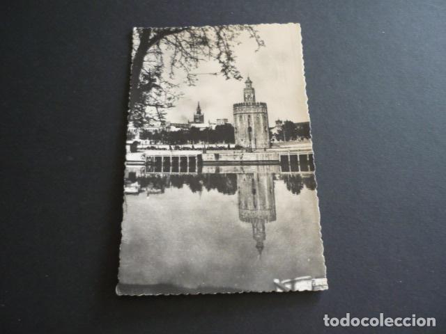Postales: SEVILLA TORRE DEL ORO - Foto 1