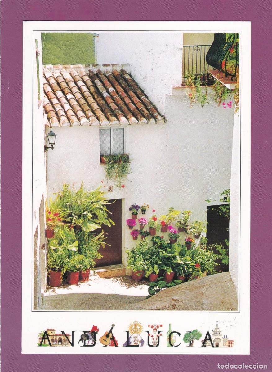 Postales: MALAGA. FRIGILIANA - PUEBLOS BLANCOS
